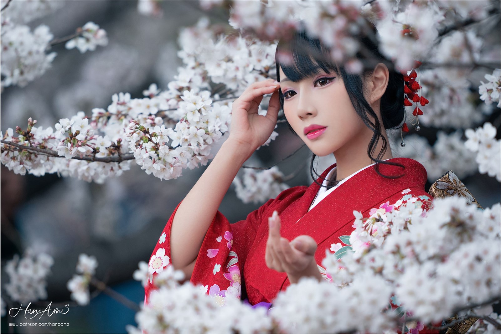 Rain waves_ HaneAme - NO.092 Crimson Kimono(7)